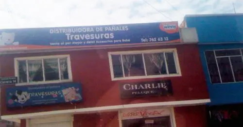 DISTRIBUIDORA DE PANALES TRAVESURAS DISTRIBUIDORA DE PANALES TRAVESURAS